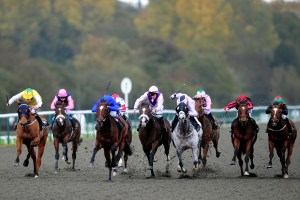 Horse Racing - Breeders' Day - Lingfield Park