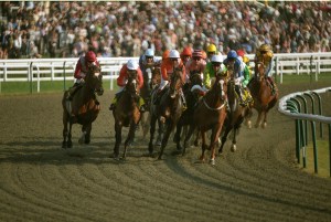 Robin Hoods Bay is in 'cracking form' ahead of the Winter Derby Trial. Pic: Courtesy ARC/Lingfield