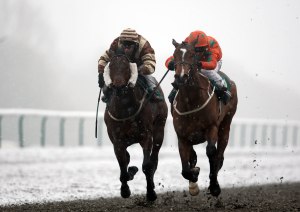 Horse Racing - Lingfield Park