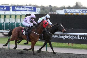 Lingfield Park Pic: Courtesy ARC/Lingfield Park