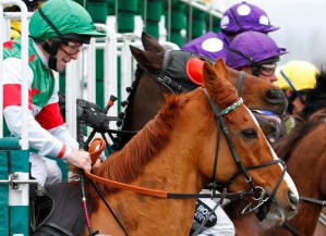 The flat racing season gets underway! Pic: Courtesy ARC.