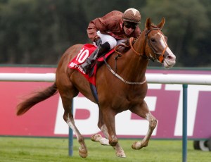 Top Notch Tonto and Dale Swift winning The Betfred.com Superior Mile  pic Dan Abraham - racingfotos.com (Courtesy of Great British Racing)