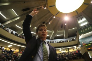 The first foal of Frankel to be offered at public auction heads the inaugural Goffs London Sale, held in association with QIPCO, at The Orangery at Kensington Palace. (Pic: courtesy of Great British Racing).