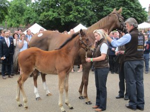 The first offspring of Frankel to be offered for sale and his dam were sold for £1.15million.