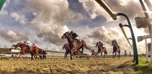 Chelmsford City will join Lingfield (pictured) and Kempton by hosting racing on an all-weather surface in the south east in 2015. Pic: Courtesy of ARC.