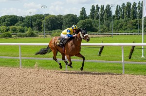 Primrose Valley created history at Wolverhampton when winning the first race ever staged in the UK on the new Tapeta surface. Pic: Courtesy of ARC