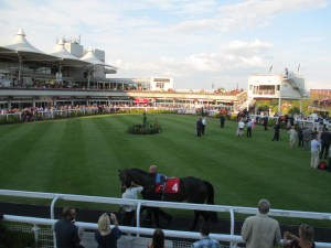 Runners parade at Sandown Park.