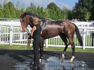 Whaleweigh Station was the third of Richards Hughes' winners. 