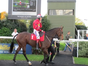 Trainer Nigel Twiston-Davies has high hopes for The New One this season.