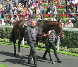 Treve won the Prix de l'Arc de Triomphe for the second successive year at Longchamp on Sunday.