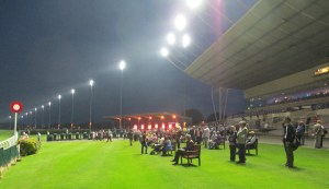 Night racing at Kempton Park