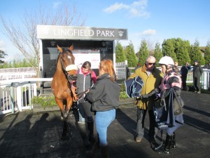 La Estrella equalled Stand Guard's record of 26 wins on the all-weather when landing the opening race at Lingfield on Wednesday. 