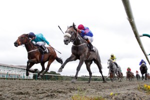 Lingfield Park host three race meetings this week. Pic: Courtesy of Arena Racing Company.
