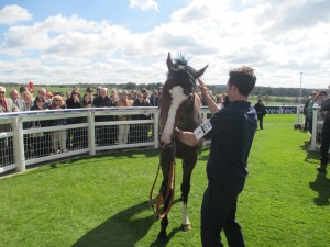 Investec Derby Trial winner Christophermarlowe has won all of his three starts.