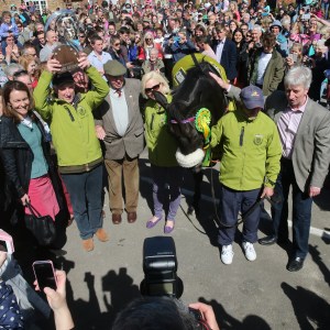 More than 1000 people turned up in Lambourn on Sunday to applaud the victory of Many Clouds in the Crabbie's Grand National. Pic: John Grossick ( Courtesy of Great British Racing).