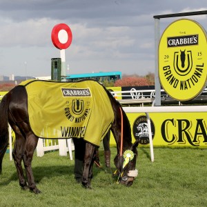 The 2015 Crabbie's Grand National winner Many Clouds enjoys a pick of grass at Aintree. Pic: John Grossick Racing Photography 