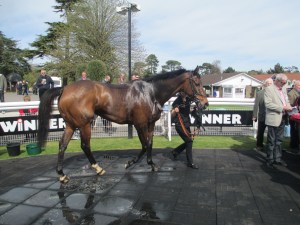 Opening Batsman continued his renaissance with an impressive win at Fontwell in April.