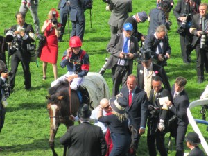 Trip To Paris may be in line for a trip to Melbourne.