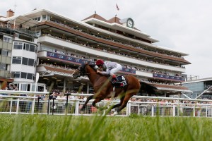 Newbury Racecourse. Pic: Gavin James/GJ Multimedia (Courtesy of Newbury Racecourse).