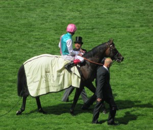 Time Test was an impressive winner at Royal Ascot.