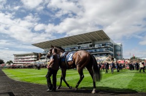Eight runners are set to contest the Ladbrokes St Leger. Pic: Courtesy of ARC. 