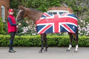 Trip To Paris was second in the prestigious Caufield Cup in Australia on Saturday.