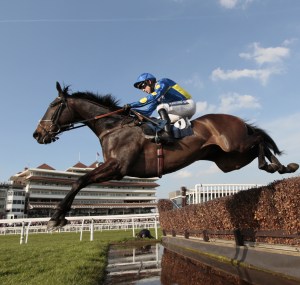Newbury Racecourse. Pic: Gavin James/GJ Multimedia (Courtesy of Newbury Racecourse).