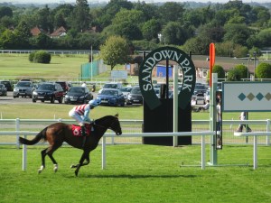 Sandown Park hosts national hunt and flat racing.