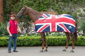 Red Cadeaux has been retired after he was pulled up in the Melbourne Cup won by Michelle Payne and Pride of Penzance. (Pic: Courtesy of Great British Racing).
