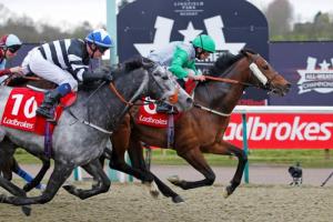 Grey Mirage 2015 AW Final mile