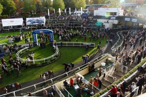 BQIPCO British Champions Day 2014, Ascot Racecourse