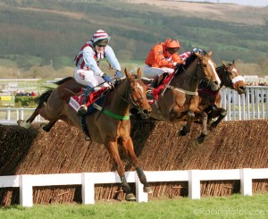 Cheltenham 15/3/2000.The Queen Mother Chase. Winner Edredon Bleu - Tony McCoy