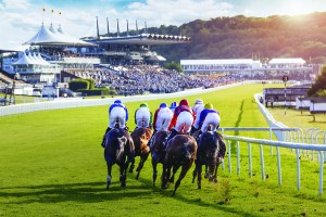 Jack Terry_Goodwood_TFN