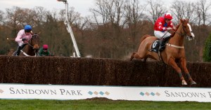 sire-de-grugy-winning-the-2014-tingle-creek