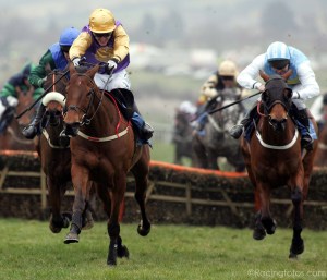 brave-inca-2-2006-champion-hurdle-cracingfotos