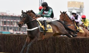 altior-1