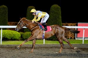 Corinthia Knight wins at Kempton Credit ARC