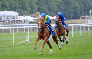 Masar and Brett Doyle galloping at Newmarket on 30 June 2018 ahead of th...