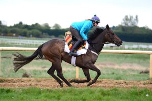 Skitter Scatter exercising this morning ahead of her QIPCO 1000 Guineas bid on Sunday © Newmarket Racecourses Pat Healy