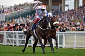 Advertise Commonwealth Cup