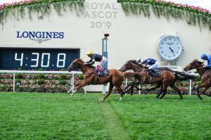 Stradivarius Gold Cup
