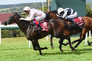 Too Darn Hot - Sussex Stakes