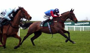 Paisley Park Cleeve Hurdle 2020